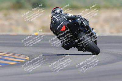 media/Oct-01-2023-SoCal Trackdays (Sun) [[4c570cc352]]/Turn 14 Backside (1120am)/